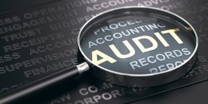 How to Start an Audit Company
